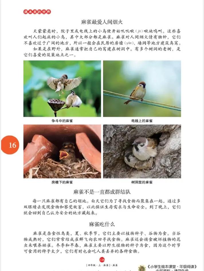 古灵小说全集在线阅读 | 古灵作品全集免费阅读