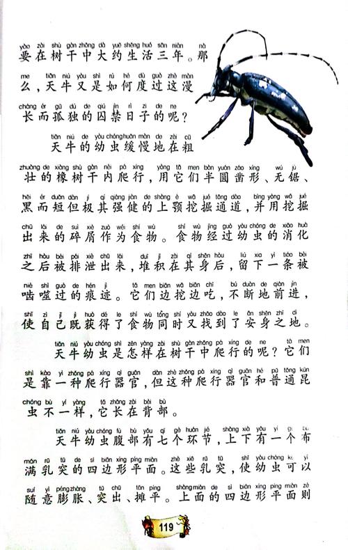 家庭幻想txt全文在线阅读录｜免费完整版下载