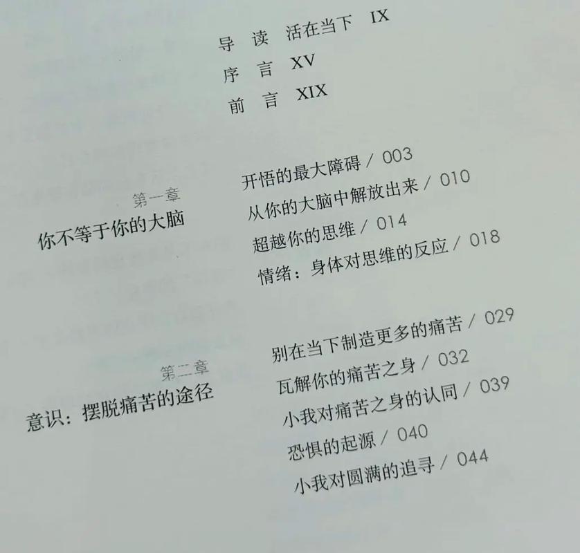 在线小说阅读器 - 海量免费小说，全网热门佳作随心读