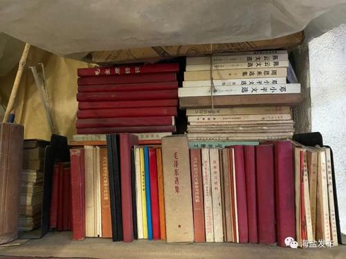 路遥《人生》全文在线阅读 | 经典文学小说原著