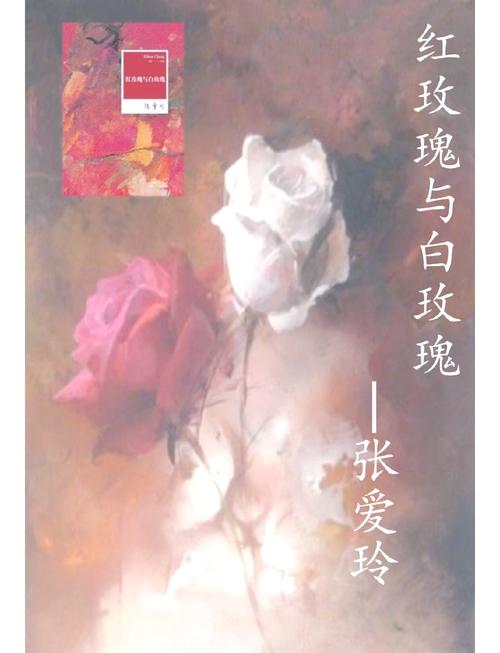 再青春小说全文免费在线阅读_再青春最新章节