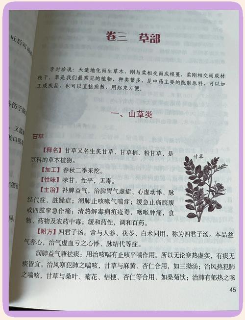 民调局异闻录全文免费在线阅读_无弹窗最新章节