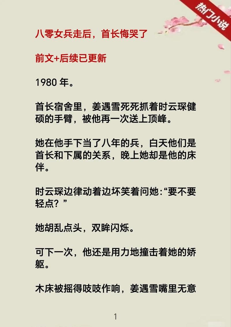 少阿兵宾小说全文在线免费阅读，一口气看完精彩剧情