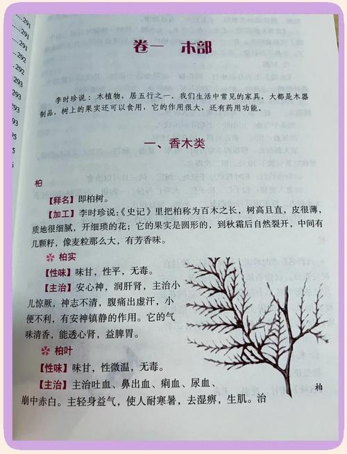 你和我的倾城时光txt在线阅读 | 全文免费下载