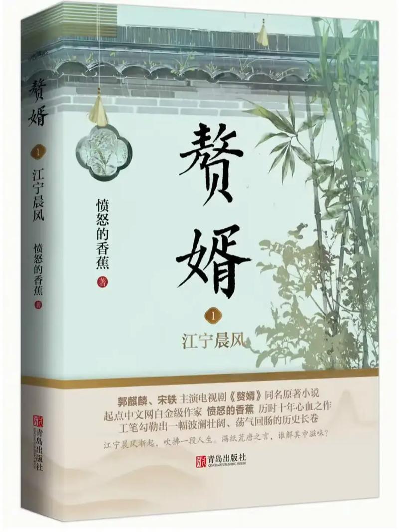 赘婿小说全文在线免费阅读 | 宁毅逆袭传奇无删减版