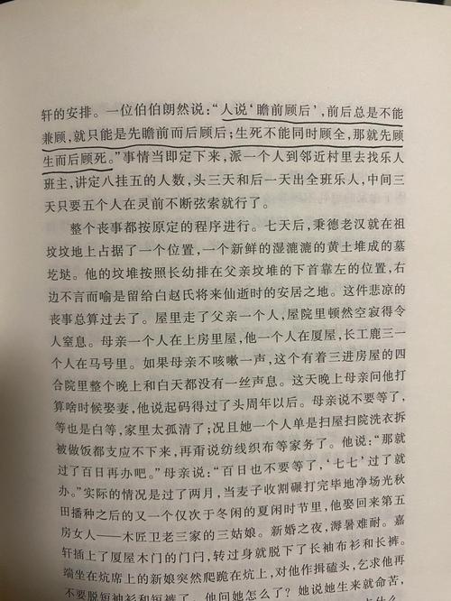姐弟乱关系全文阅读，在线免费看最新章节