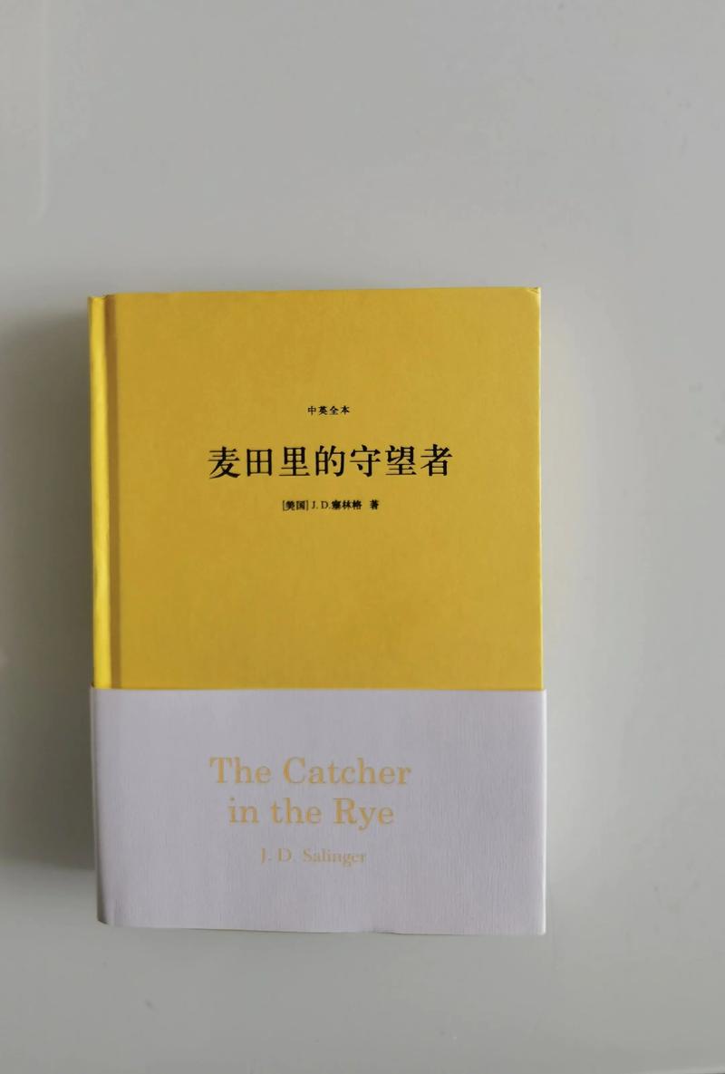 足控辣文在线阅读 | 精选足控小说合集