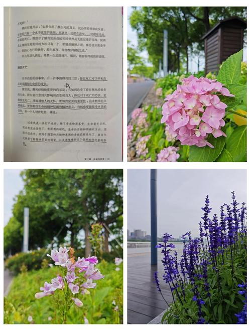 西藏生死书全文在线免费阅读 | 索甲仁波切原著