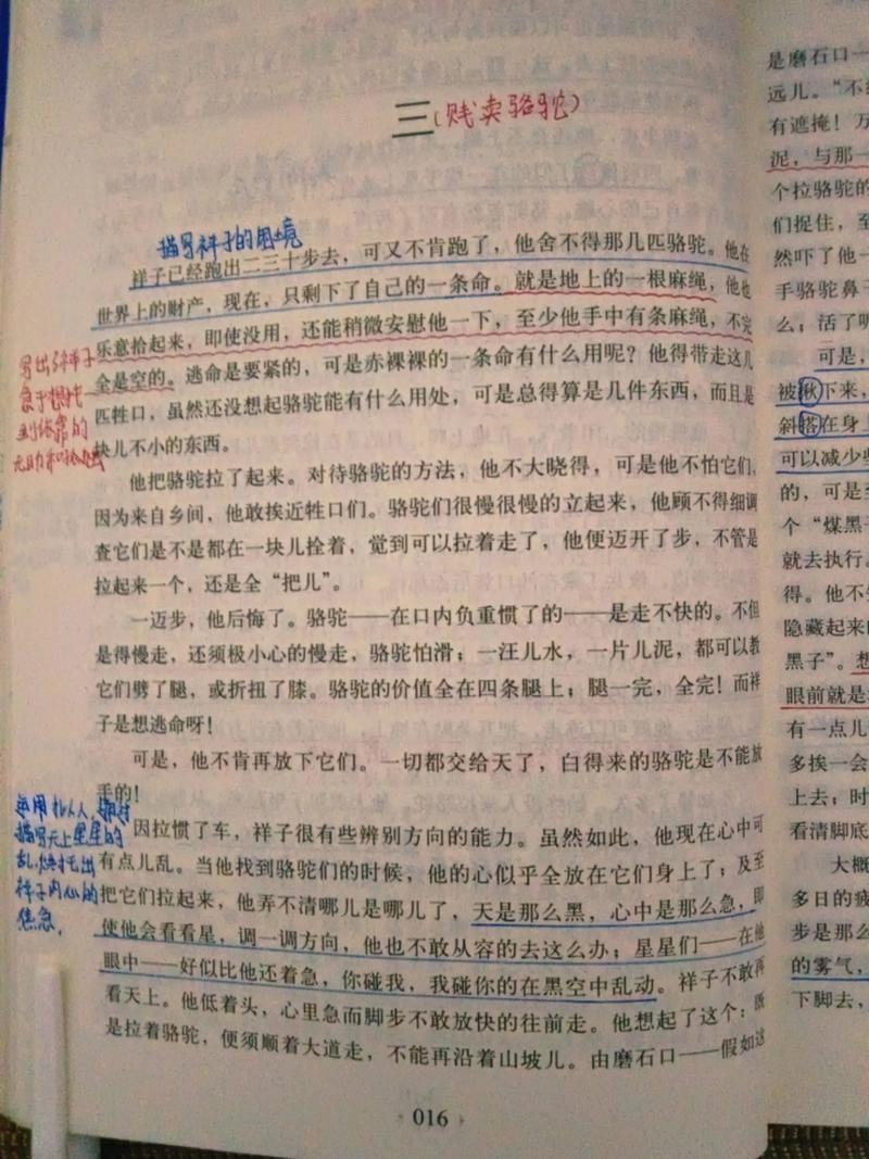 小白兔与大灰狼全文在线阅读 - 经典童话故事