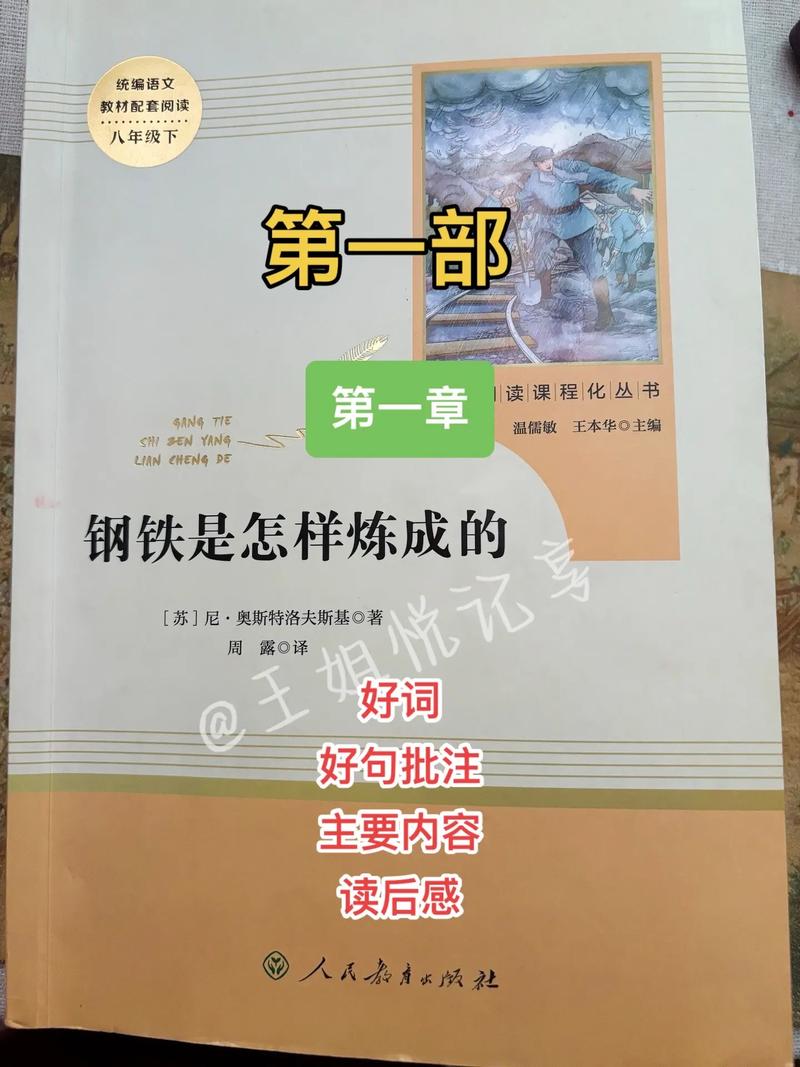 北城天街全文免费在线阅读 | 小说无删减版