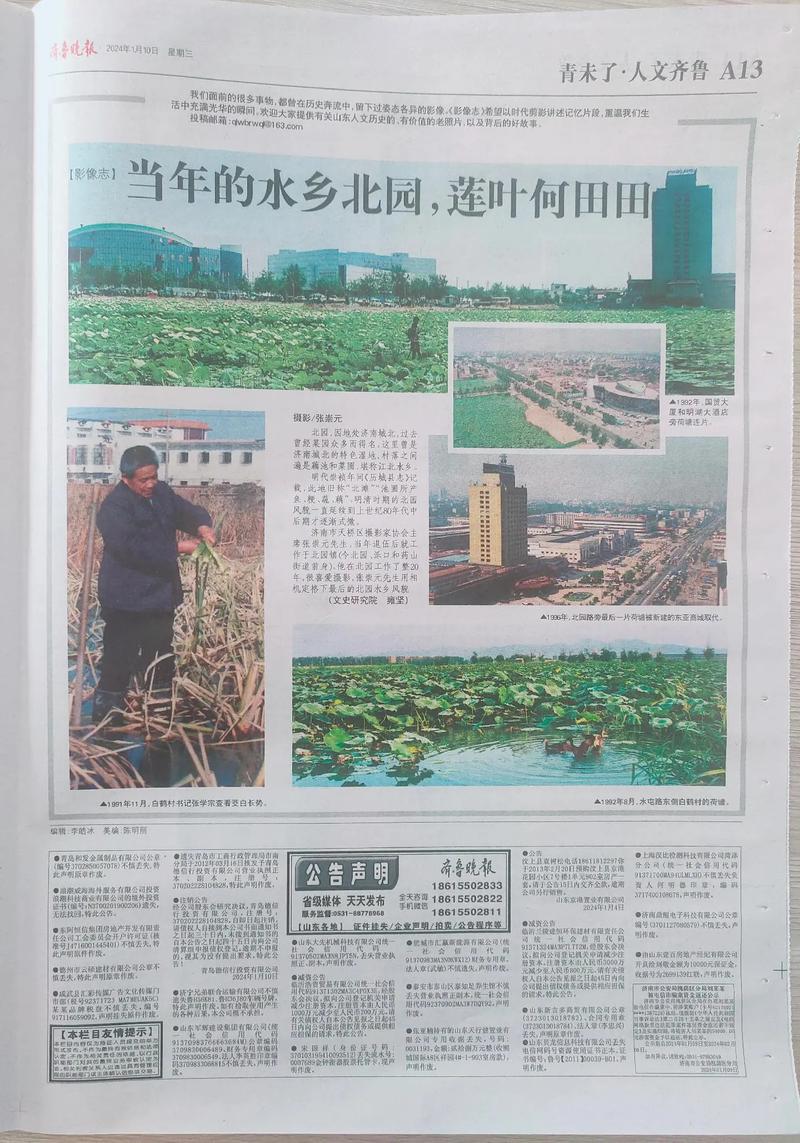 齐鲁晚报在线阅读：实时更新山东本地新闻与深度报道