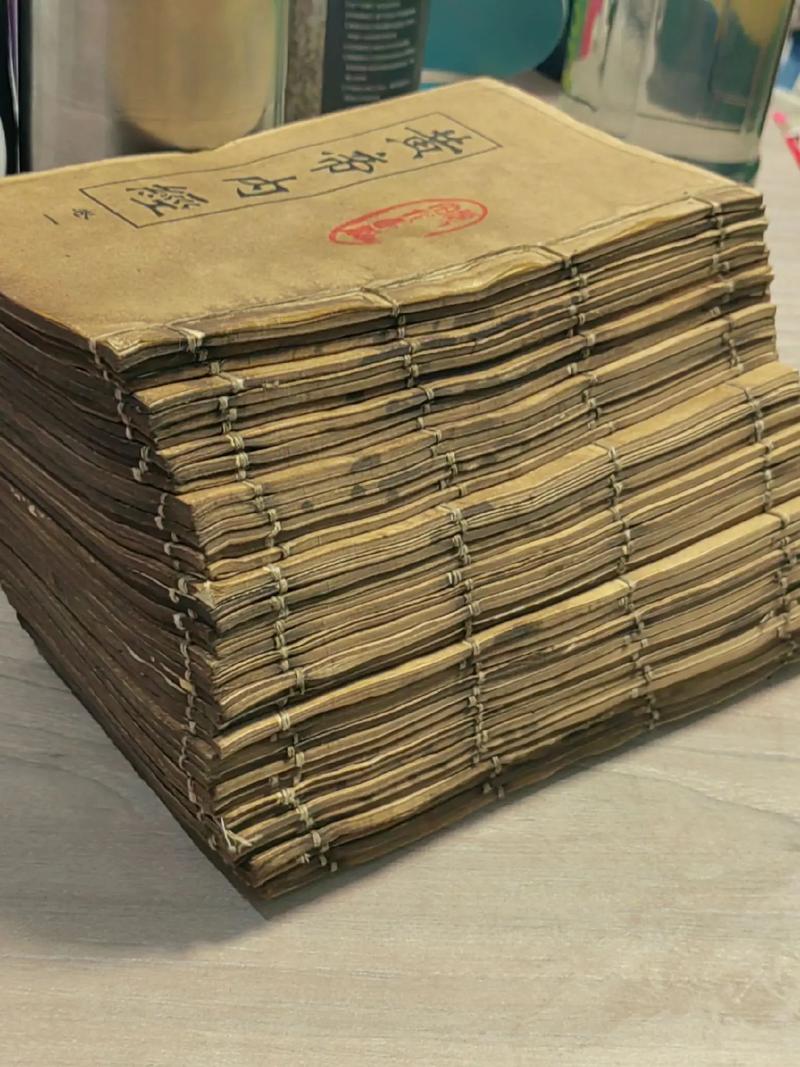 坏小孩在线阅读 | 紫金陈推理小说全文免费阅读