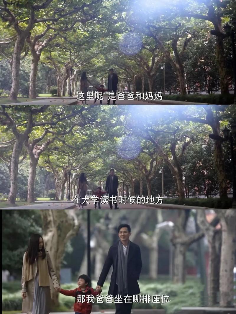 少阿兵宾小说全文在线阅读，精彩章节免费看