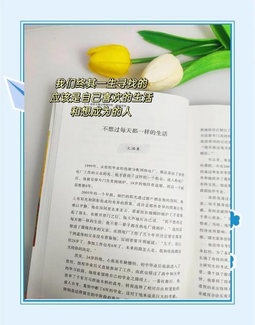 初夏若雨等花开全文无弹窗在线阅读