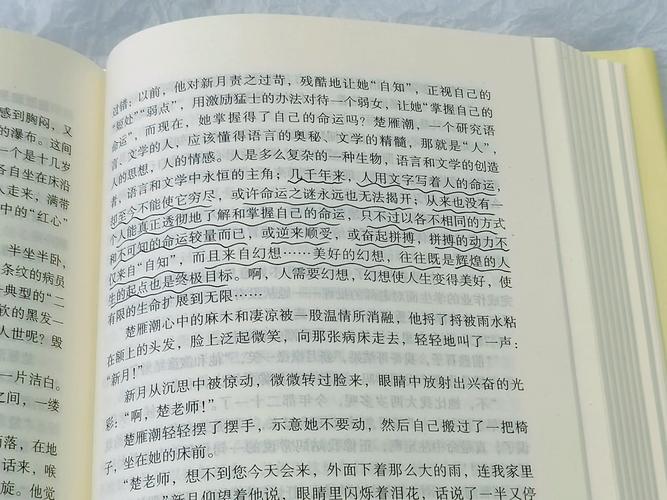 穆斯林的葬礼全文免费在线阅读 | 经典小说