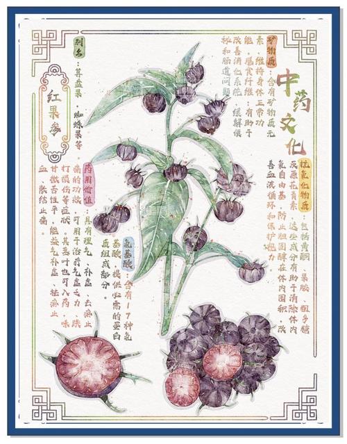 《本草纲目》在线阅读|中医药经典古籍全文检索