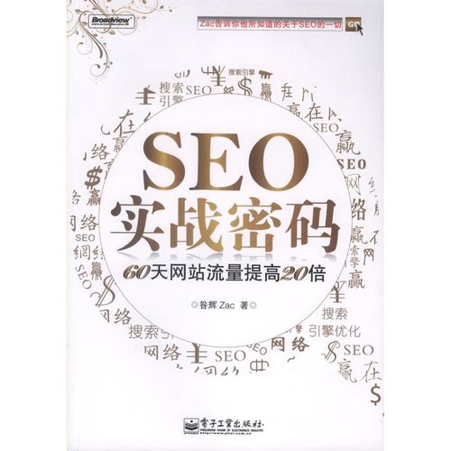 SEO实战密码：从入门到精通，掌握搜索引擎优化核心技巧
