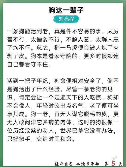 少扫白洁完整版在线阅读 | 白洁小说全文无删减