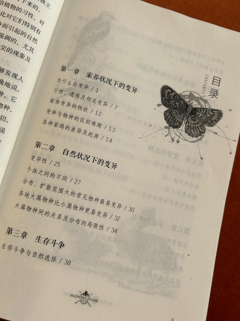 少年啊宾全文在线阅读 | 最新章节更新