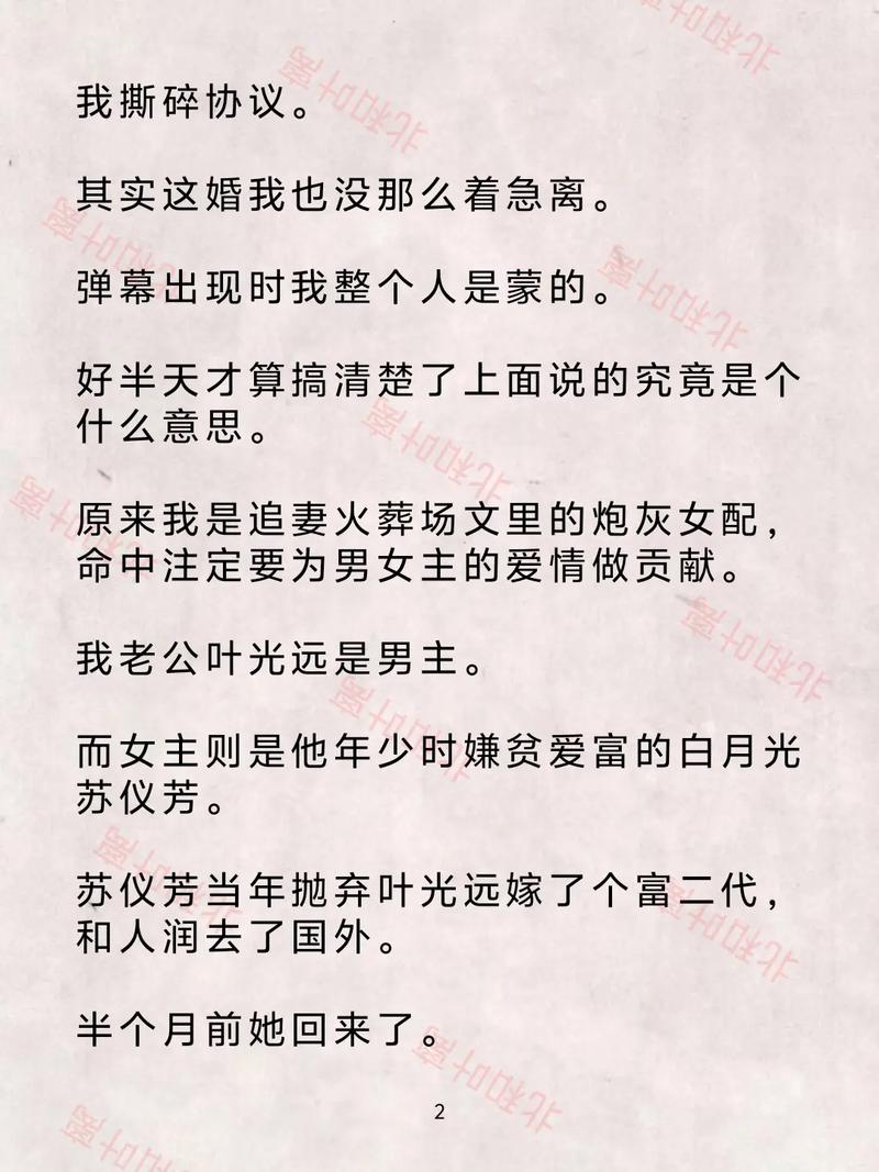 叶离小说全文在线阅读｜热门章节无删减版