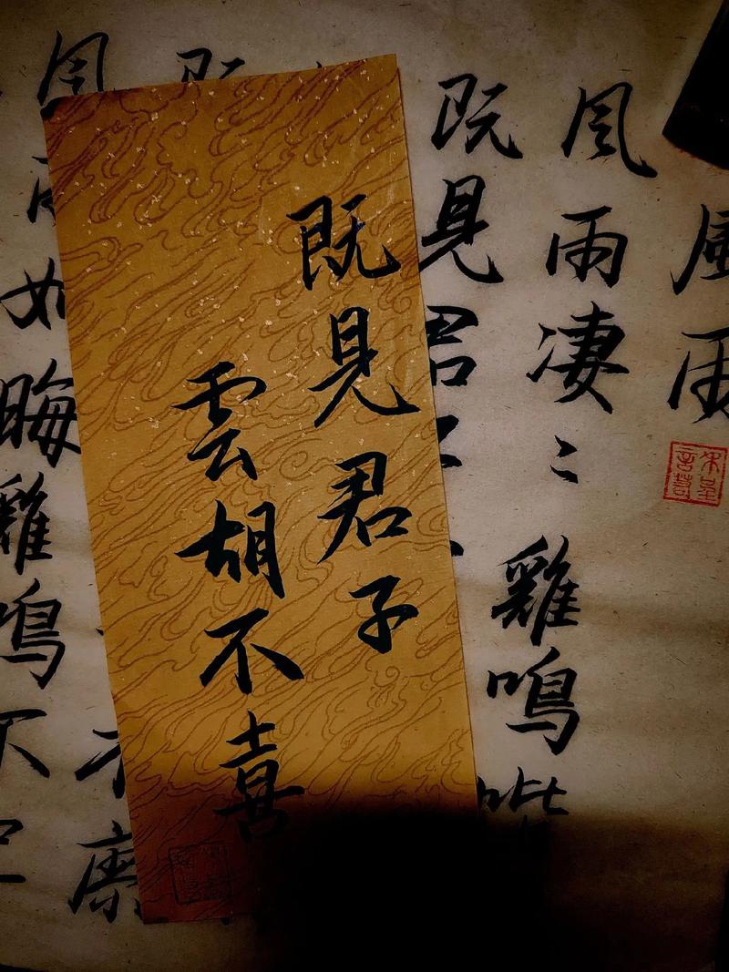金牌强手全文免费在线阅读 | 最新章节更新